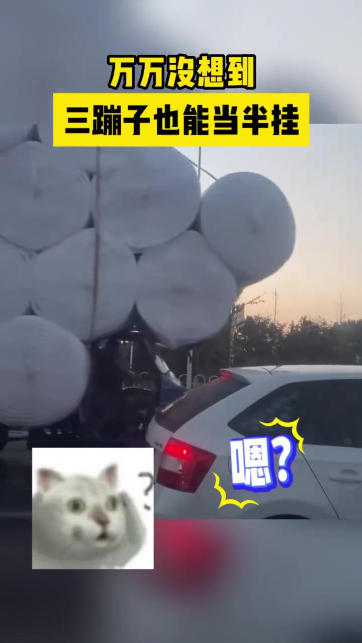 万万没想到三蹦子也能当半挂