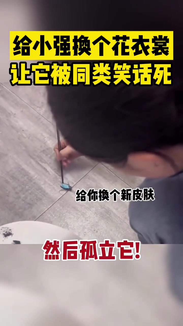 给小强换个花衣裳让它被同类笑话死！