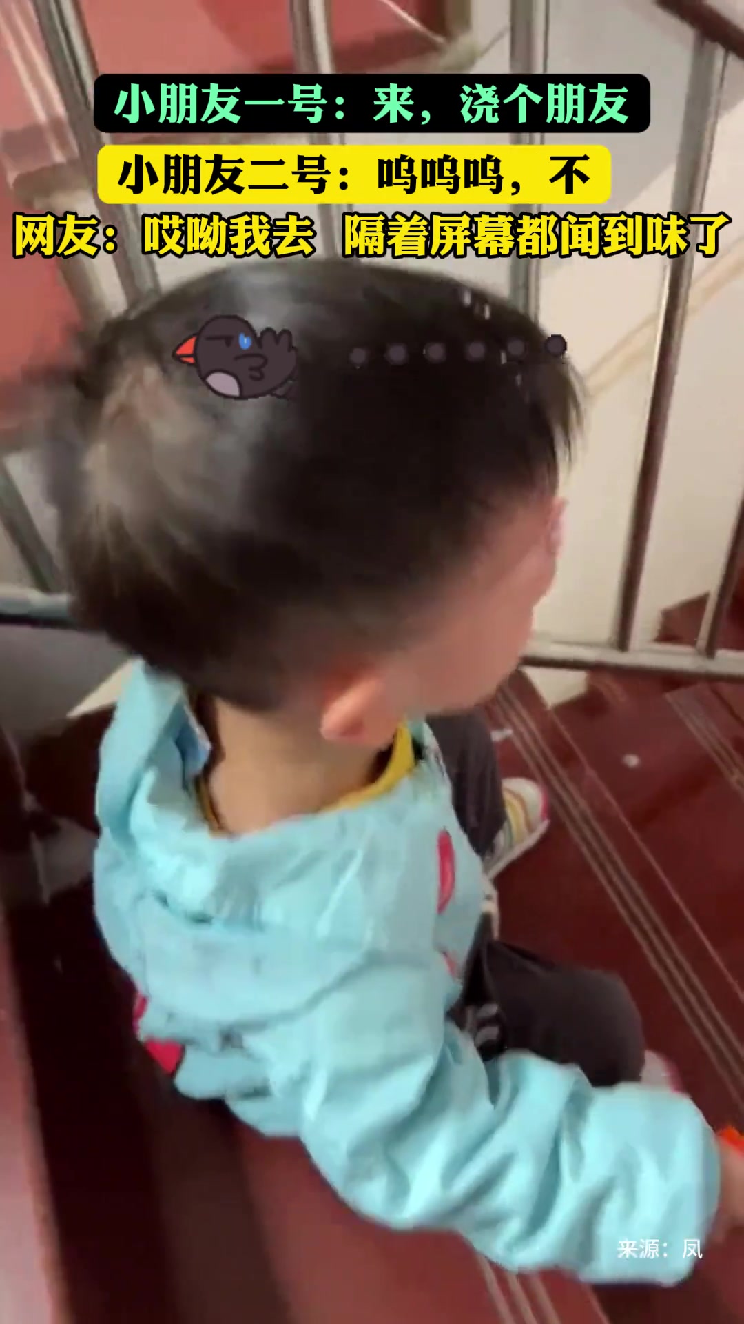 该同情宝贝的，可是真的没忍住笑...