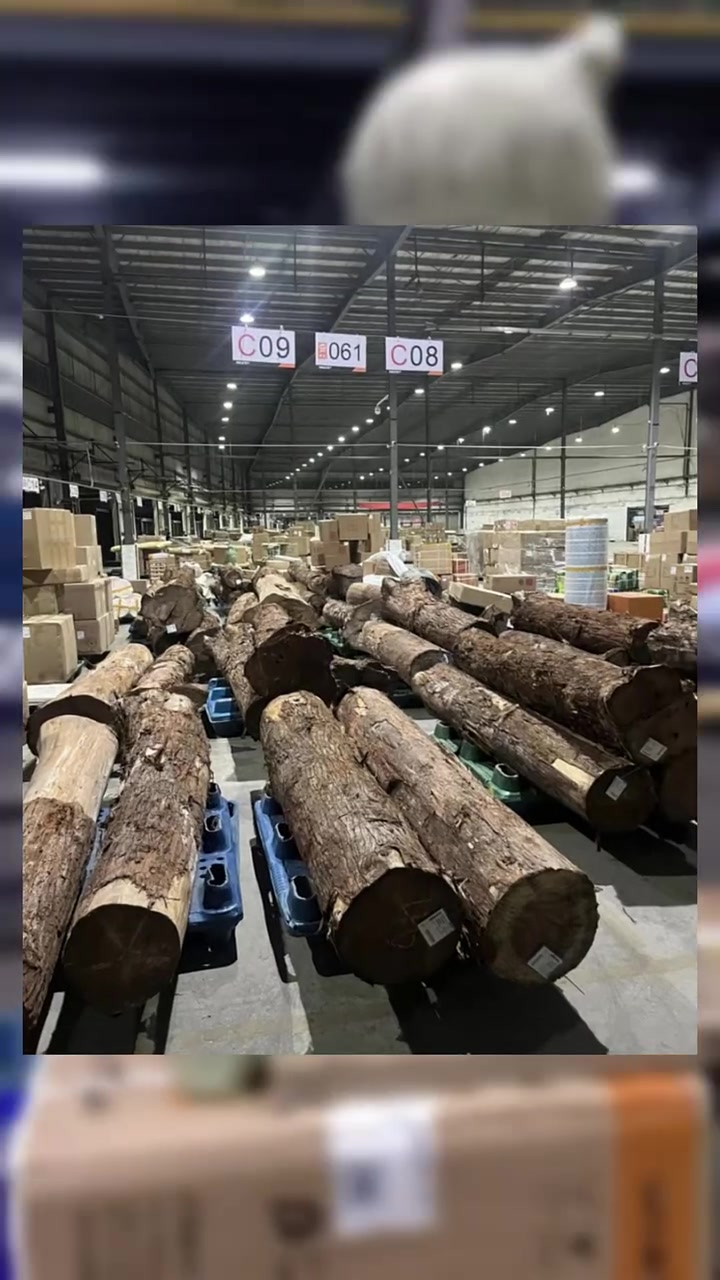 现在网购都这么疯狂了嘛物流员工实拍中转仓库奇葩快递