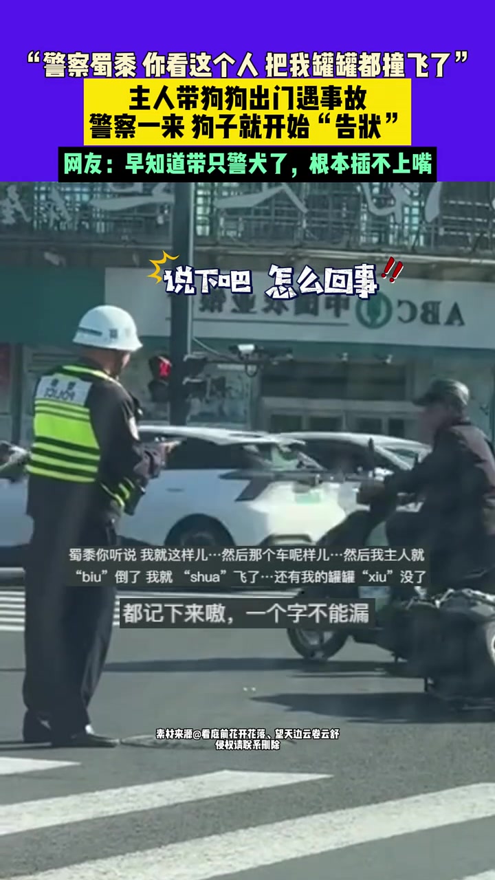 出了场小型交通事故，给狗子气的不行，直接成主人嘴替了