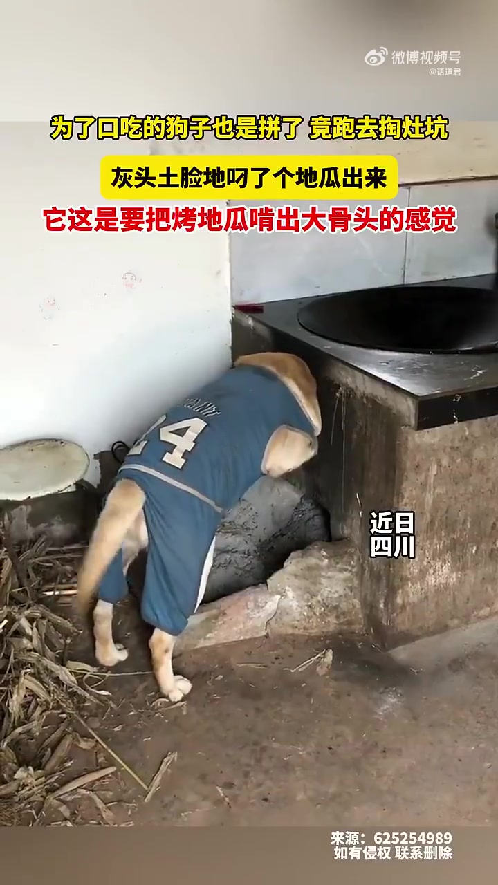 也是狠狠美黑了！为了吃真的是不择手段