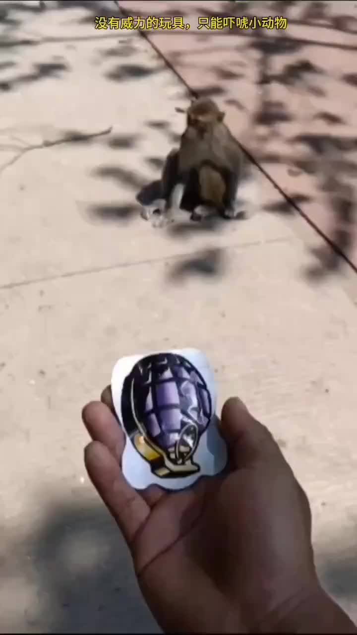 看到最后要笑死了