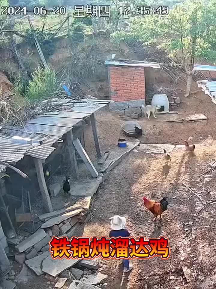 爷爷：你真是分不清大小王了！