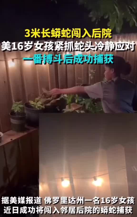 3米蟒蛇闯入后院，16岁女孩沉着处理