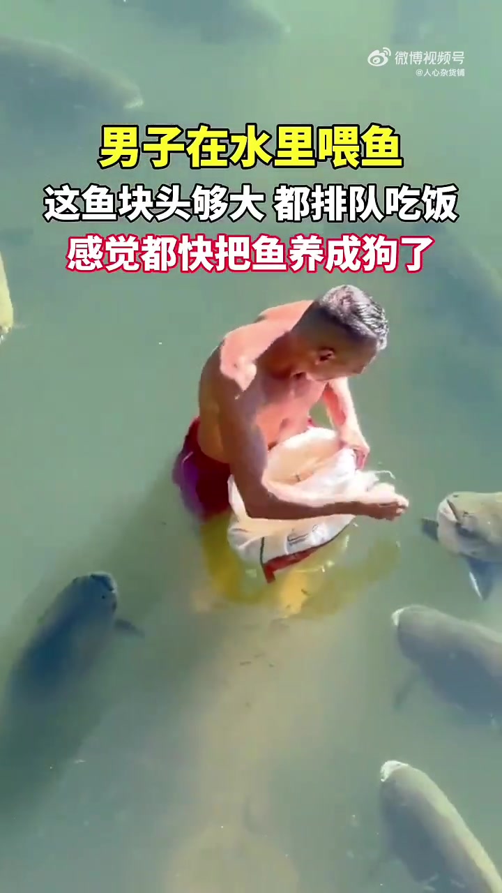从来没想象过还可以这样喂鱼！