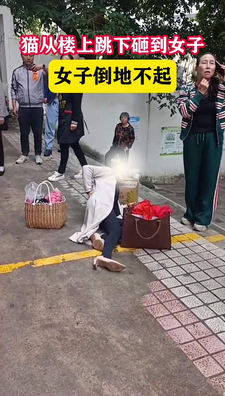 猫从楼上跳下砸到女子，女子倒地不起