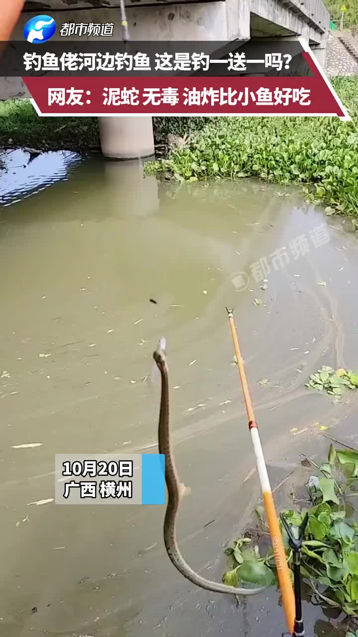钓鱼佬河边钓鱼，这是钓一送一吗