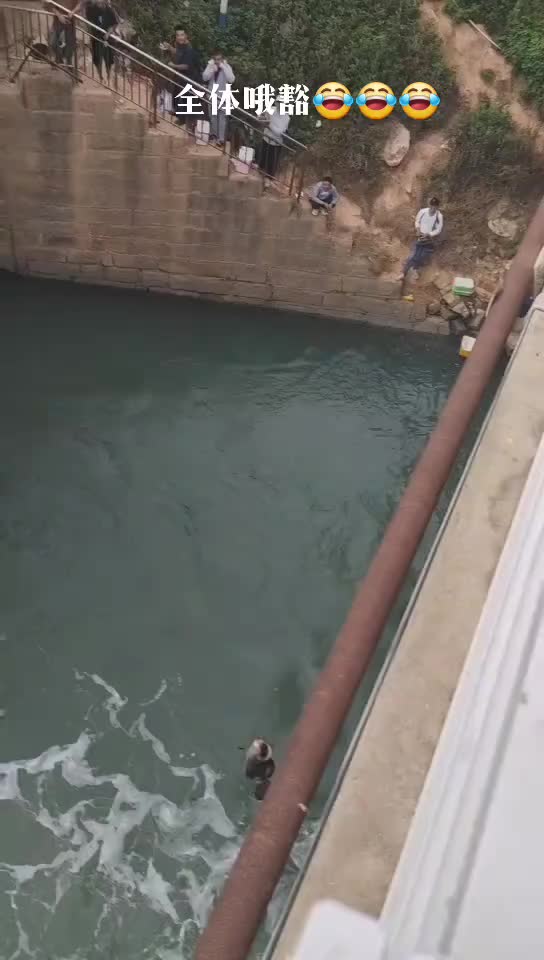 看到最后舒服了哈哈