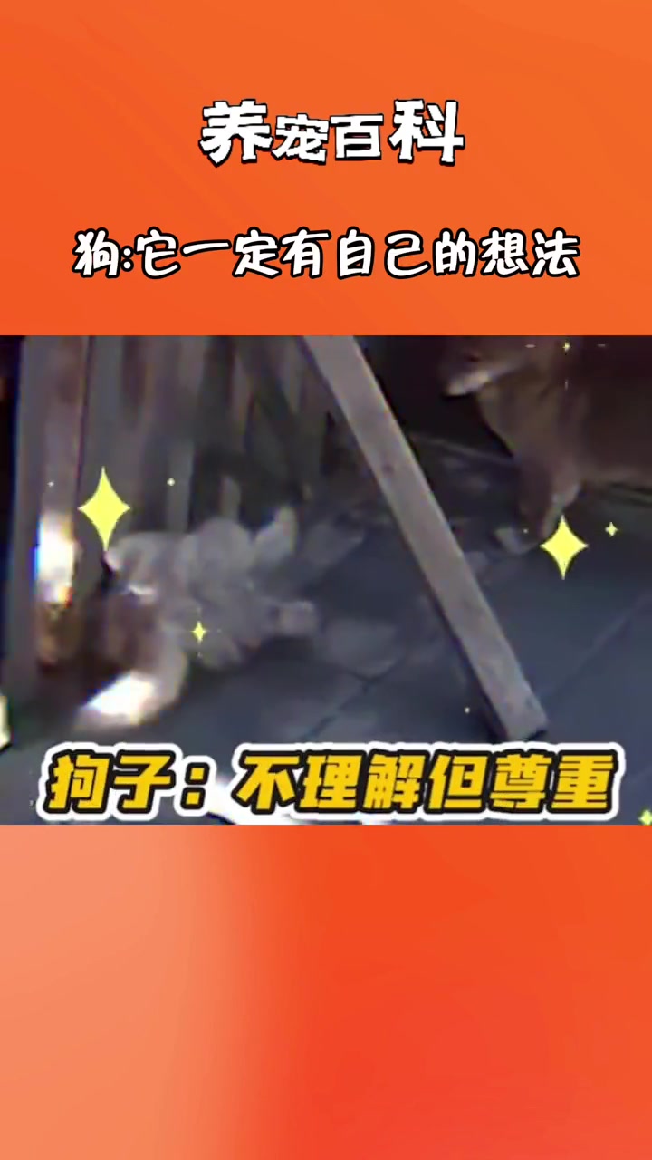狗子：猫哥这么做一定有自己的想法