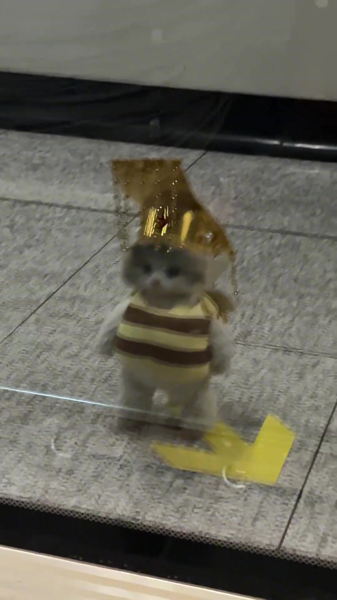 参见咪咪大王！！