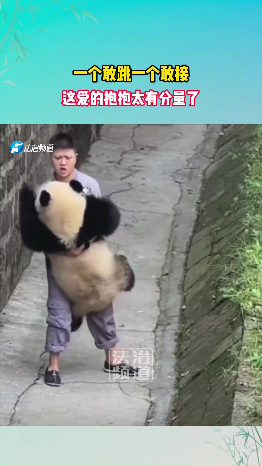 一个敢跳一个敢接，这爱的抱抱太有分量了