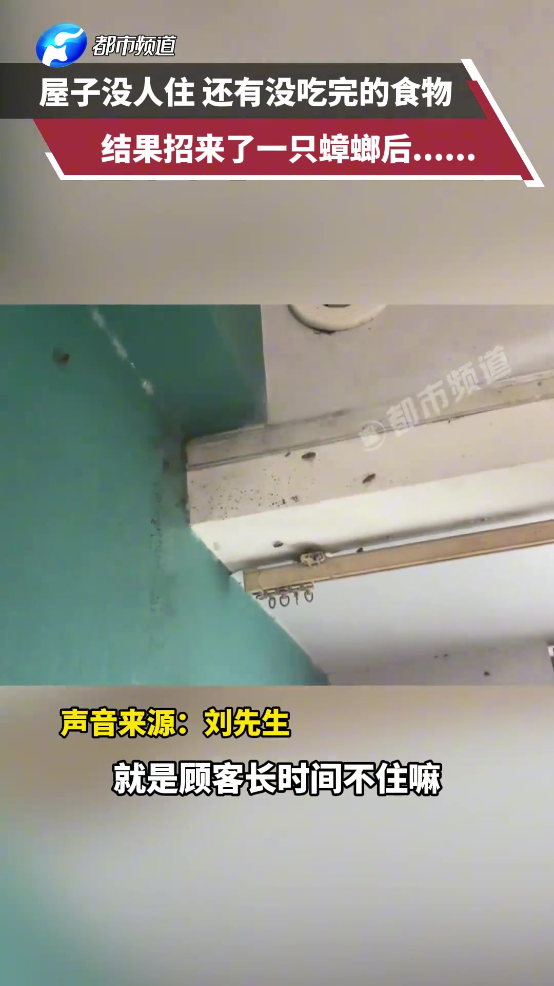 屋子没人住还有没吃完的食物，结果招来了一只蟑螂后.....