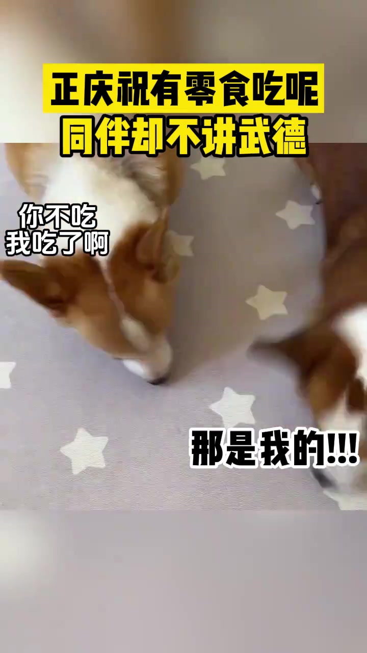 正庆祝有零食呢同伴却不讲武德