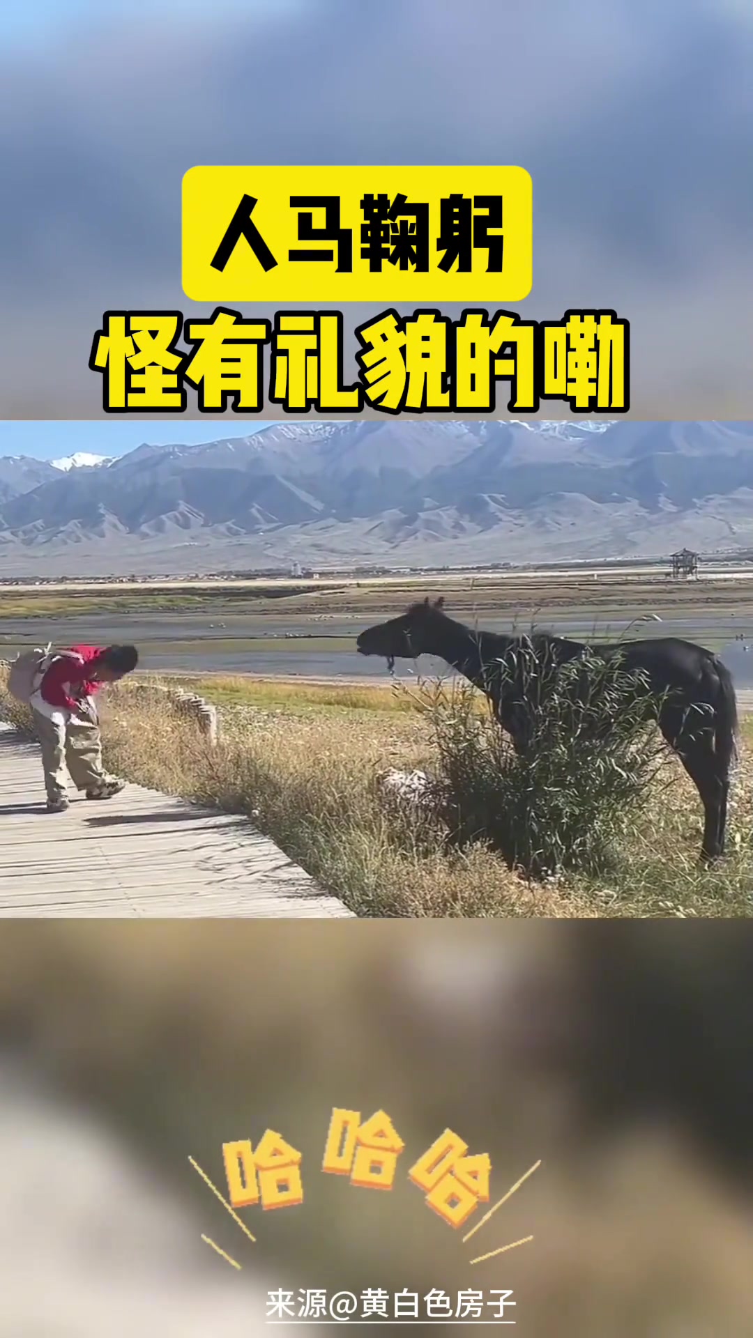 人马鞠躬还怪有礼貌的嘞