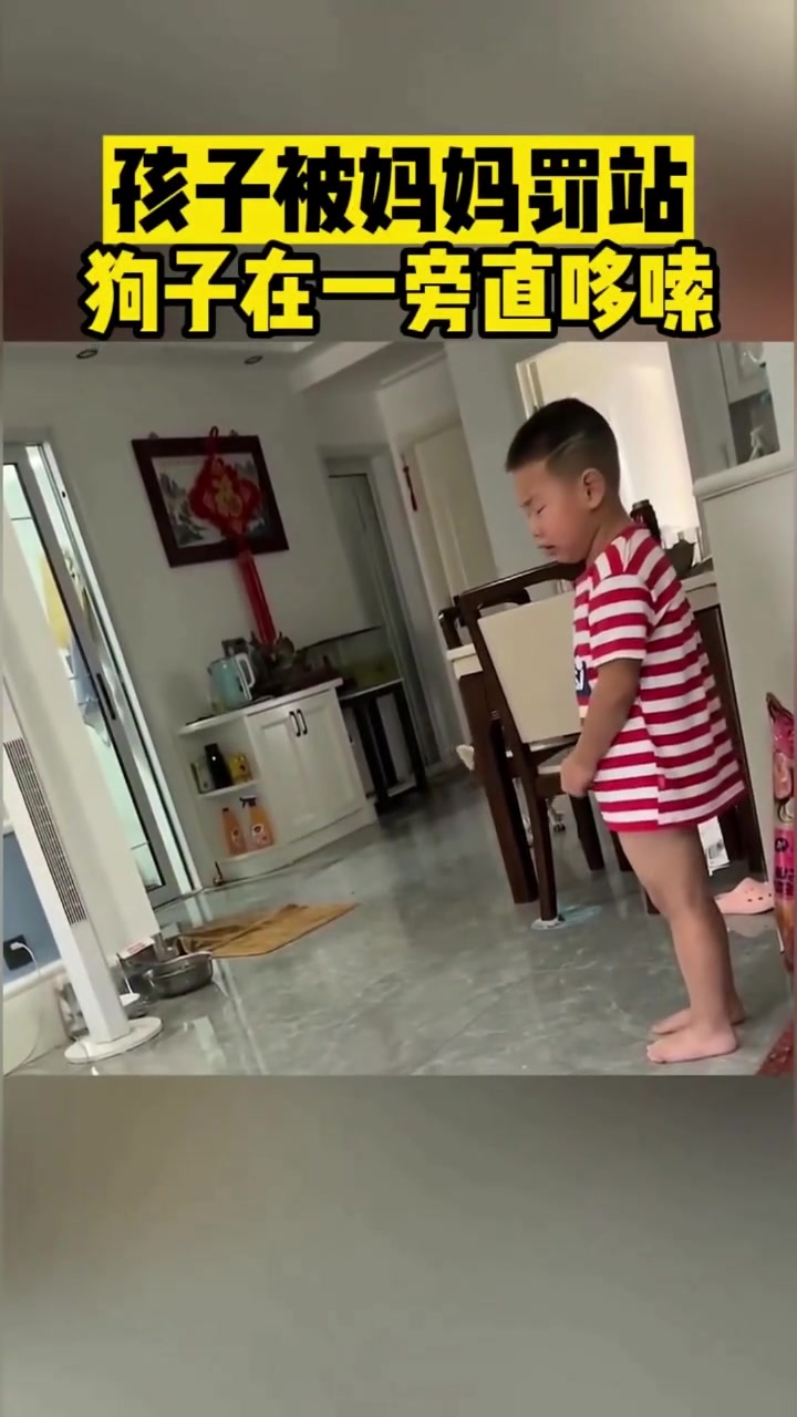 孩子被妈妈罚站狗子在一旁直哆嗦