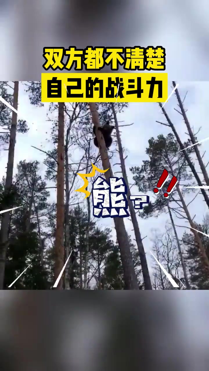 双方都不太清楚自己的实力！