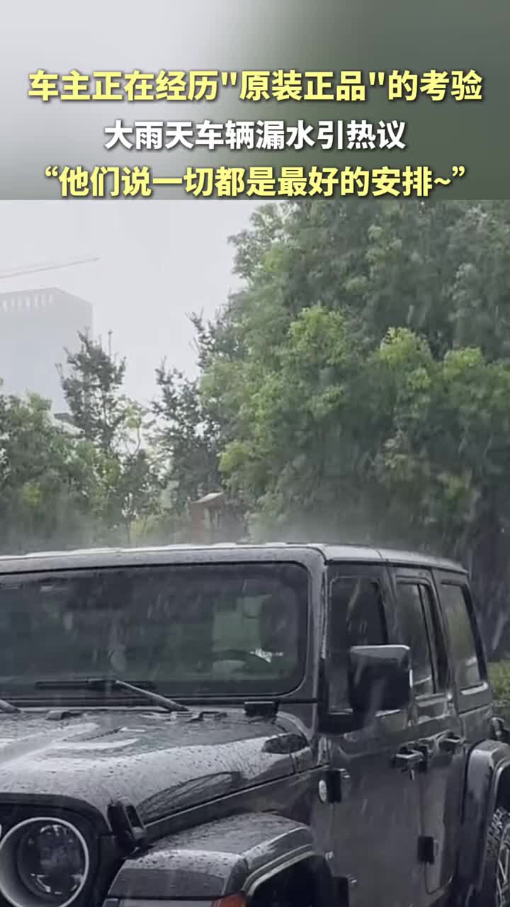 车主正在经历“原装正品”的考验，大雨天车辆漏水引热议！