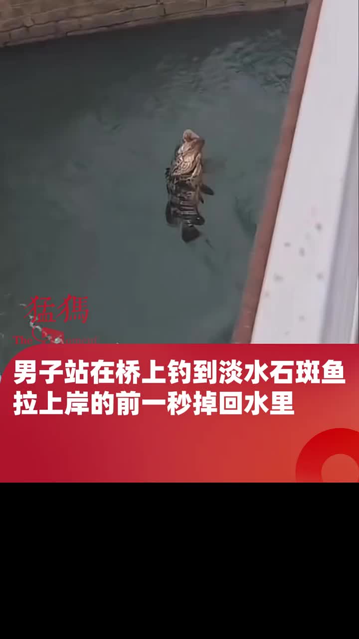 男子桥上钓鱼，拉上岸的前一秒掉回水里，现场全体“哦豁”