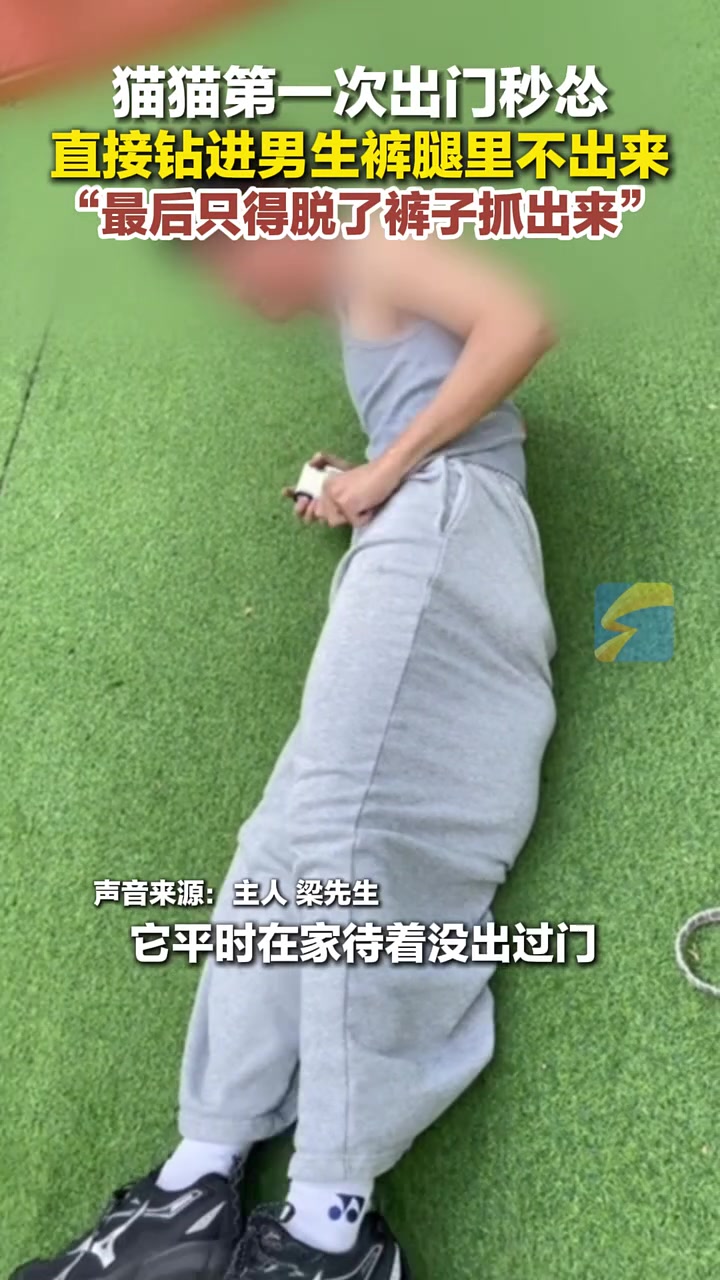 小猫第一次外出太怂！直接钻到男生的裤筒里不出来