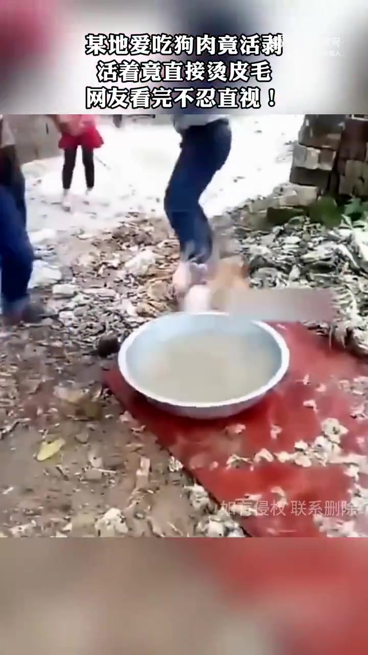 看完不忍直视！这到底是什么样心理变态！！