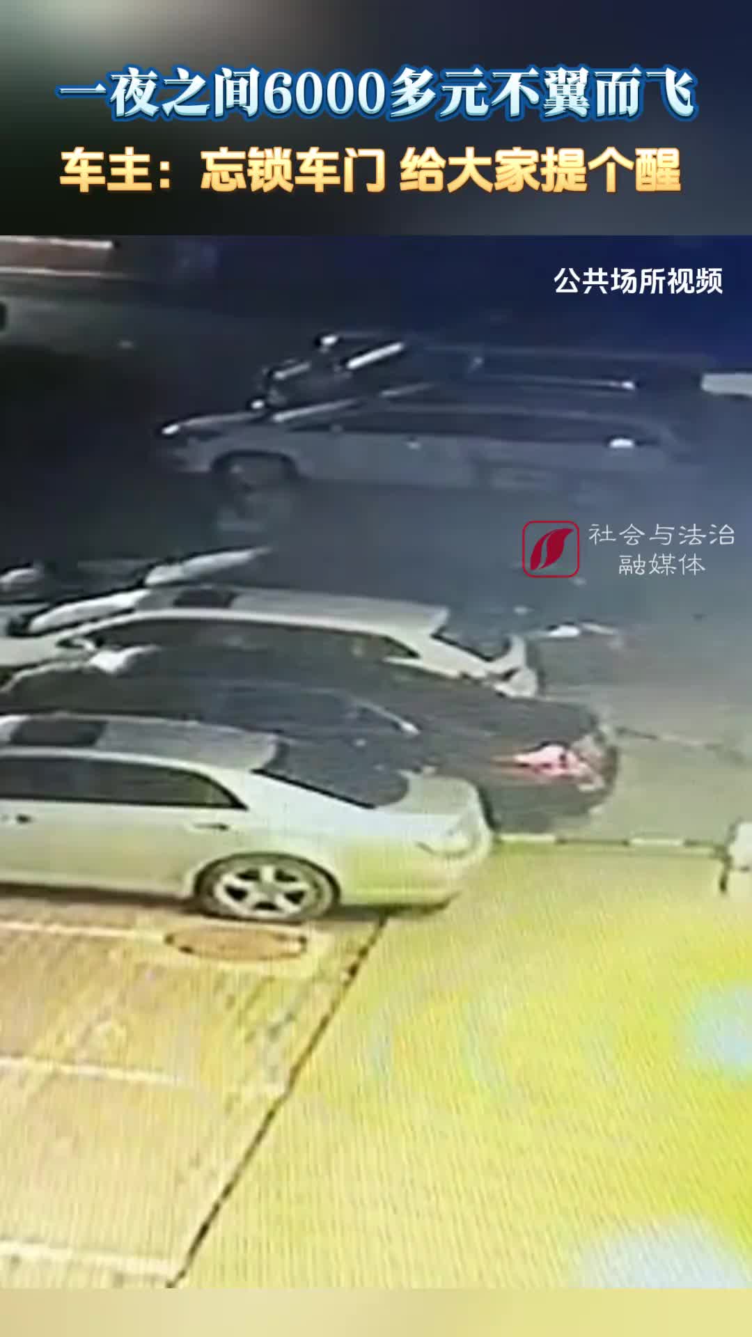 一夜之间6000多元不翼而飞车主：忘锁车门给大家提个醒