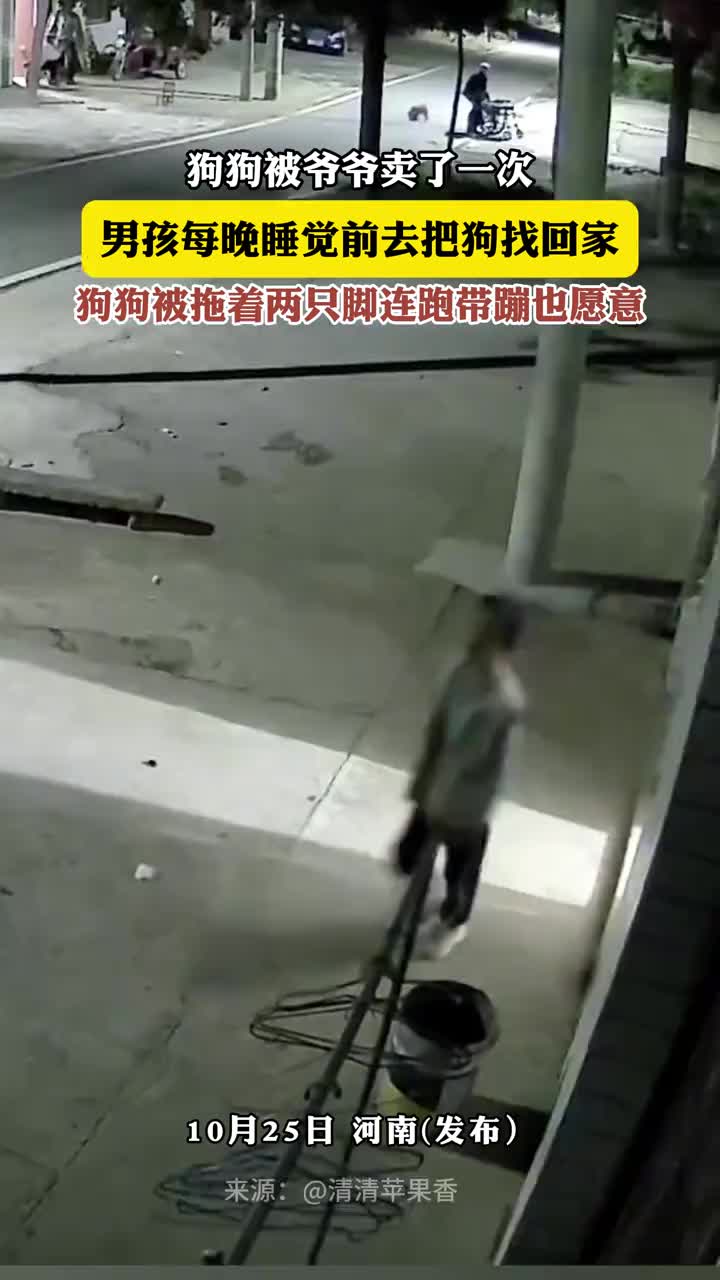 狗狗和男孩的感情太深了！