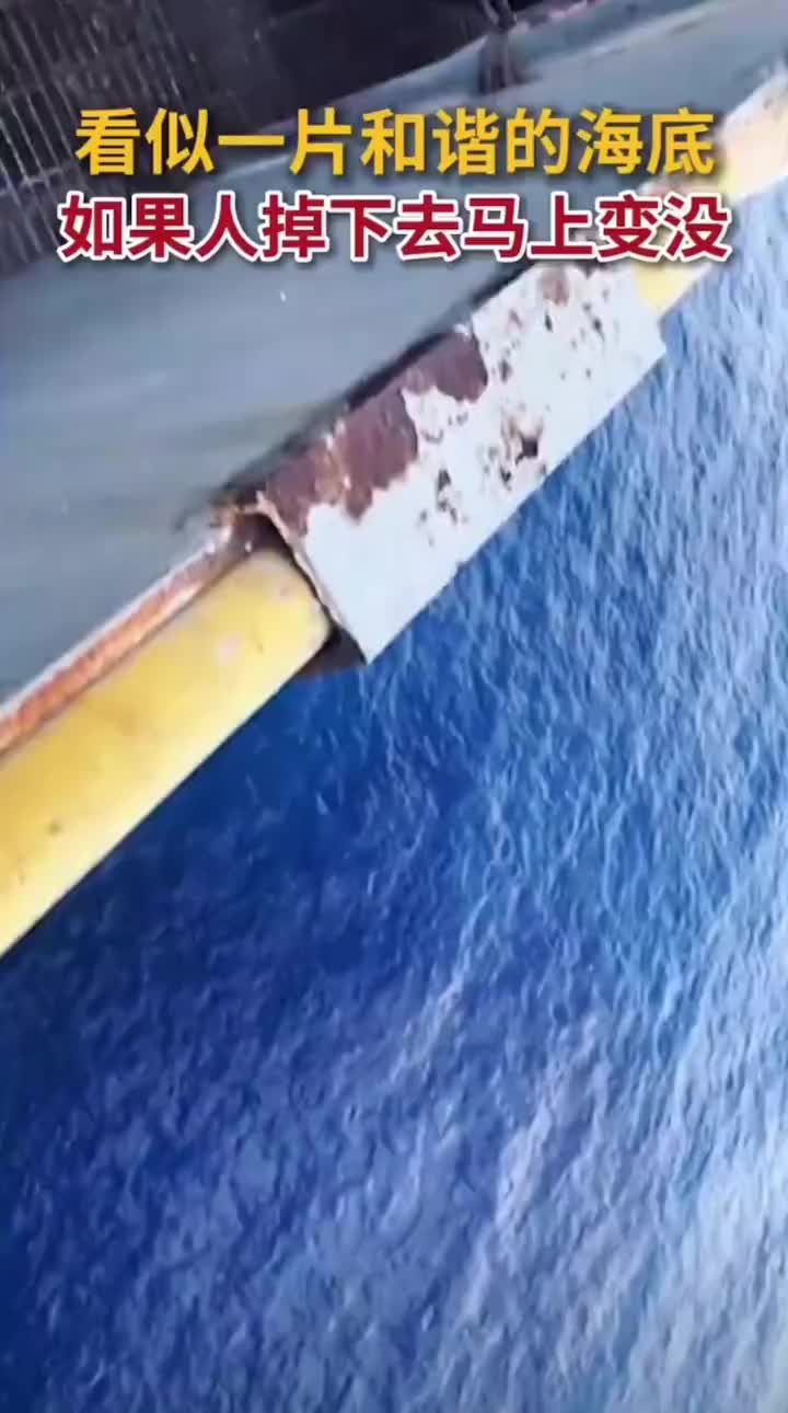 这就是电影里的丢进海里喂鲨鱼嘛