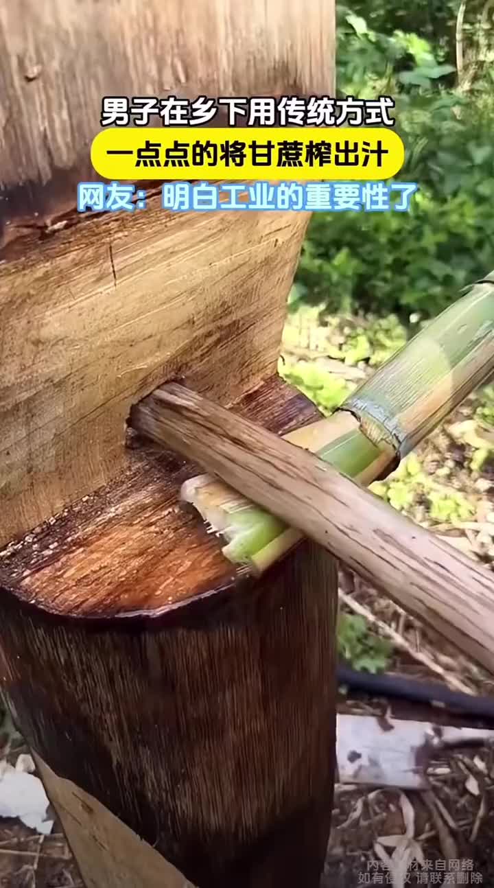 用传统方式榨甘蔗汁