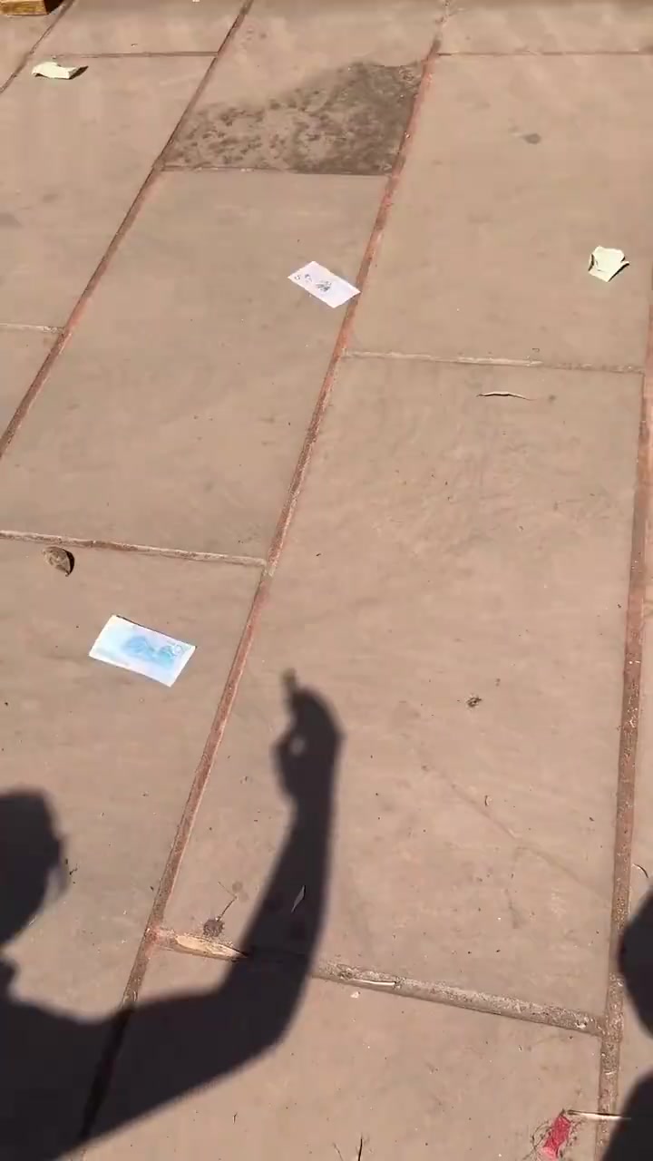 被风刮出来了捡不捡