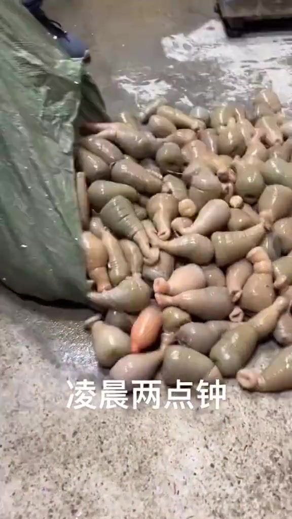 这是啥东西