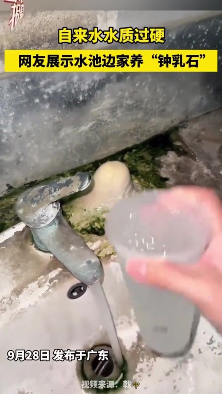 好小众赛道，宿舍养乳石，自来水水质过硬！