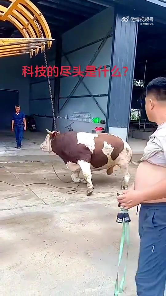 强壮如牛，亦有死穴