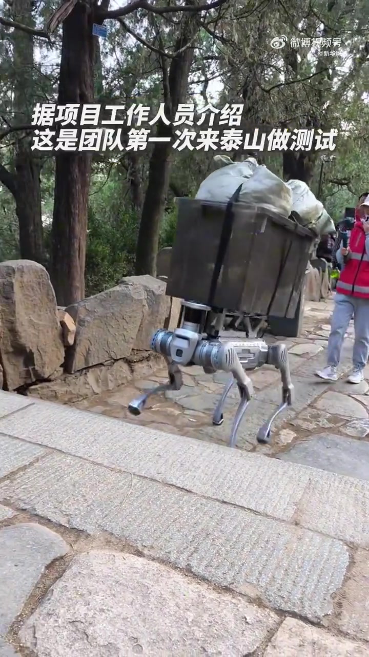 这下小小泰山真能被拿捏了！！！