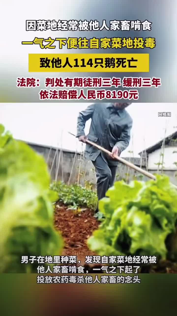 往自家菜地投毒致他人家鹅死亡被判刑