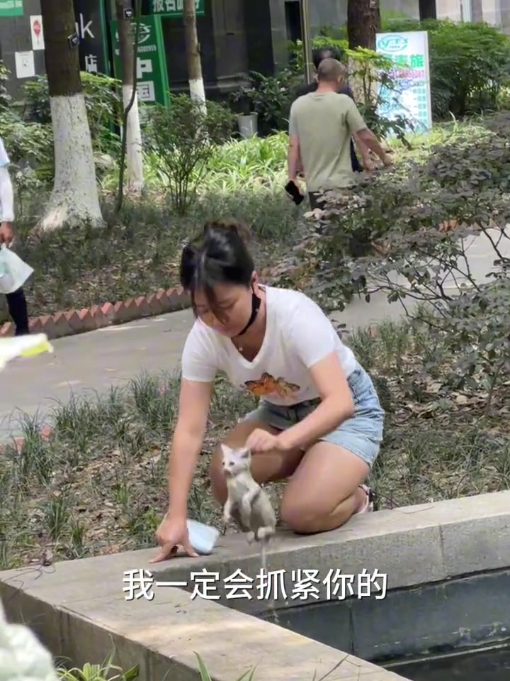 还好有小姐姐，不然小猫就完蛋了