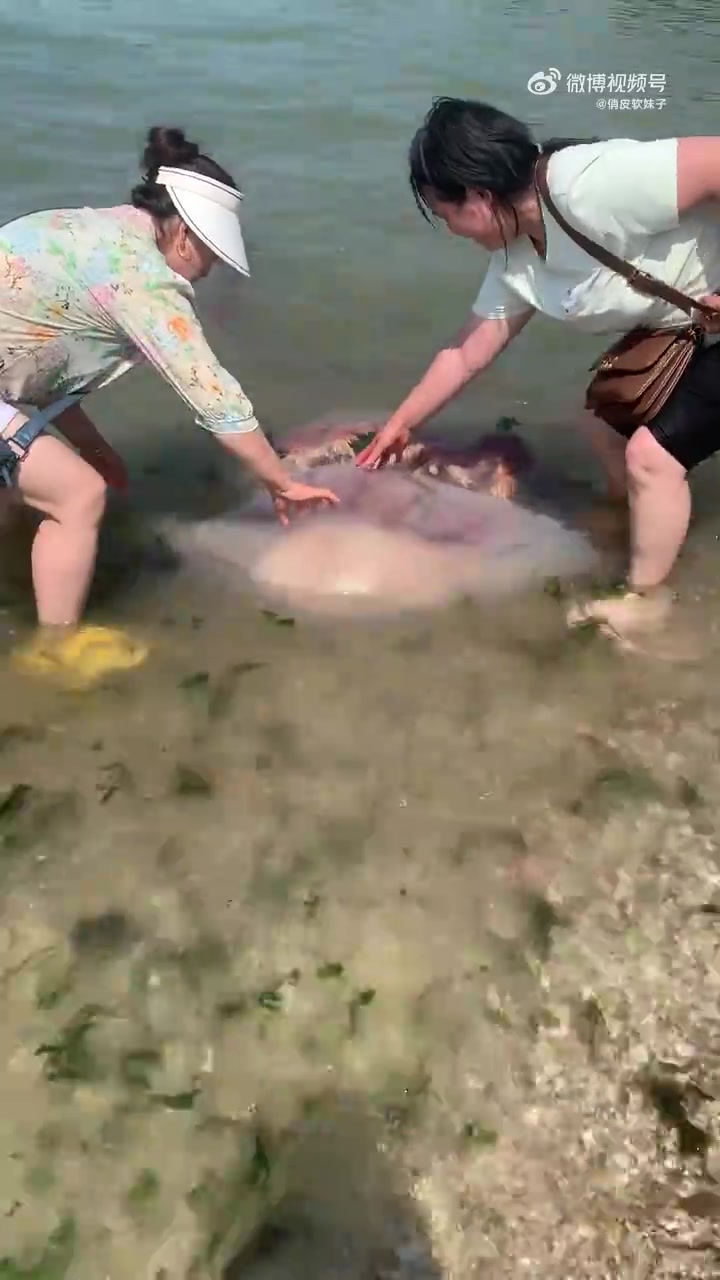 好奇心害死猫啊！都不懂有没有毒就乱碰，真容易出事