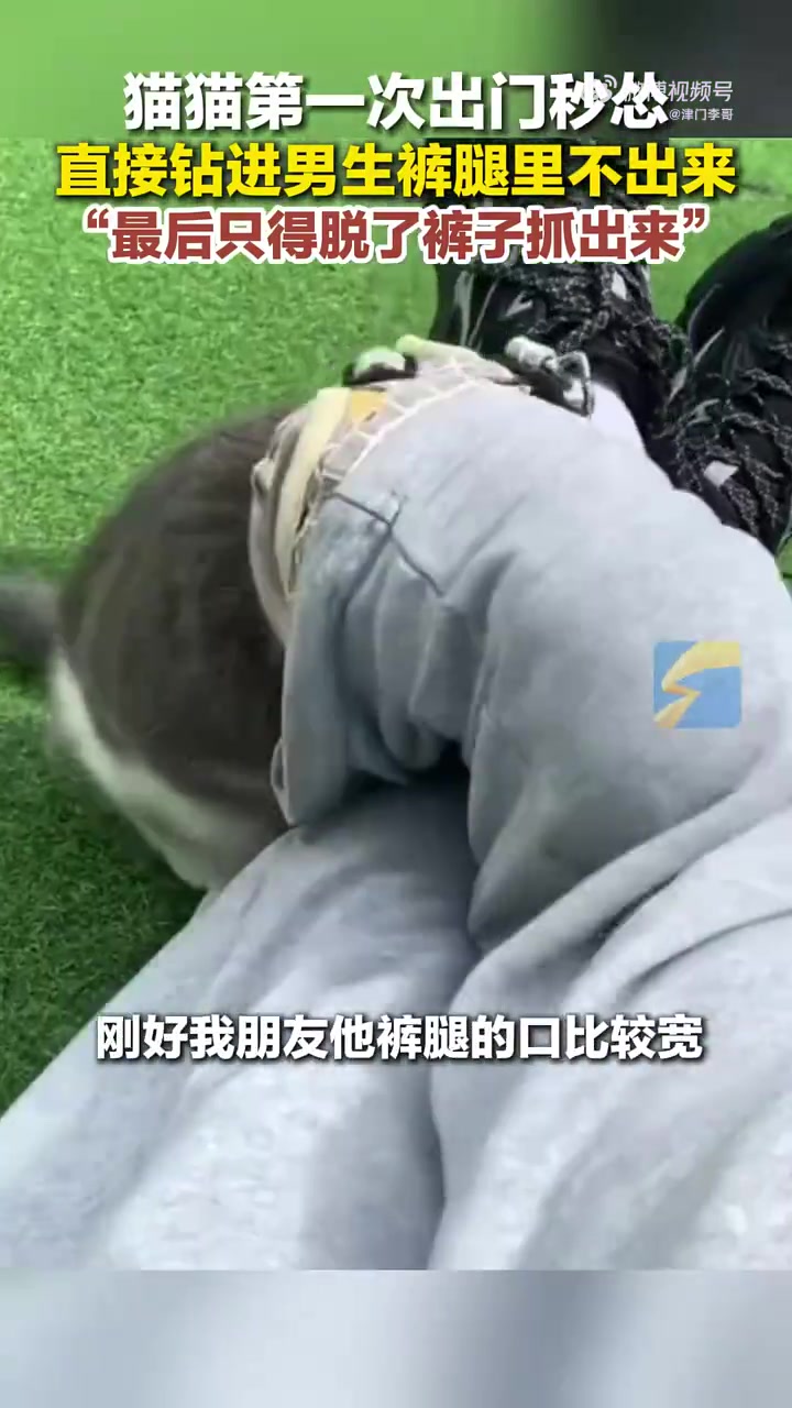 社恐归社恐，你别往我裤裆钻啊！