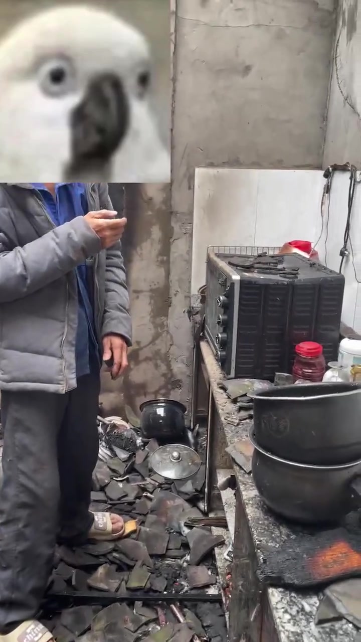 一场大火唯一剩下的了