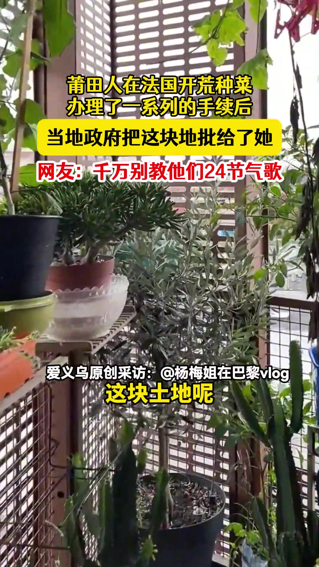 莆田人在法国开荒种菜，当地政府批了一块地给她