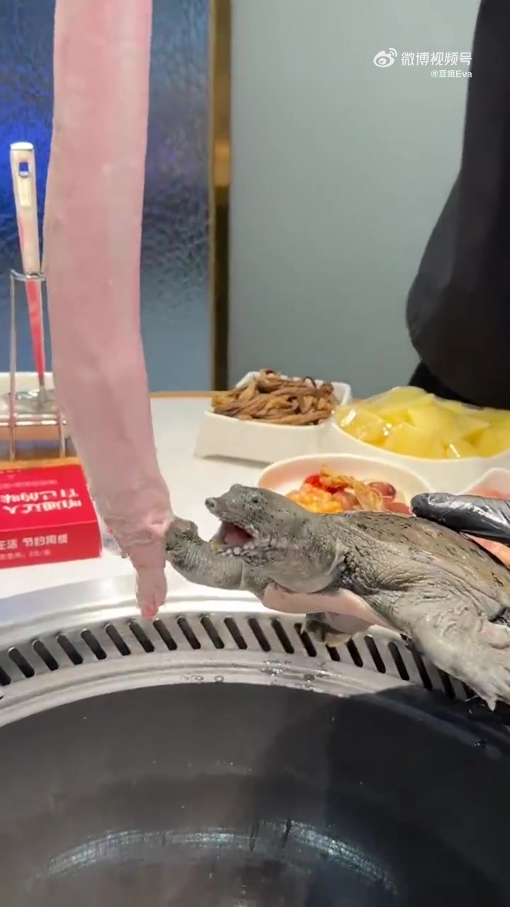 这一锅全是大补啊！！