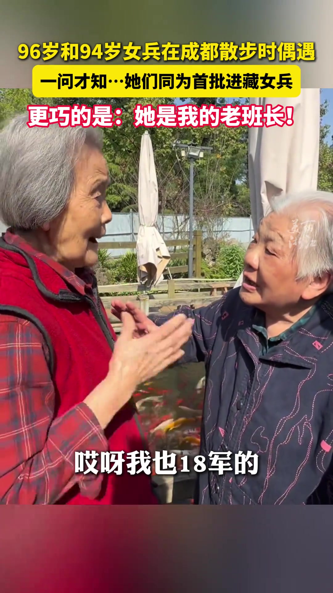 96岁和94岁女兵时隔74年遛弯偶遇，这是何等的缘分！