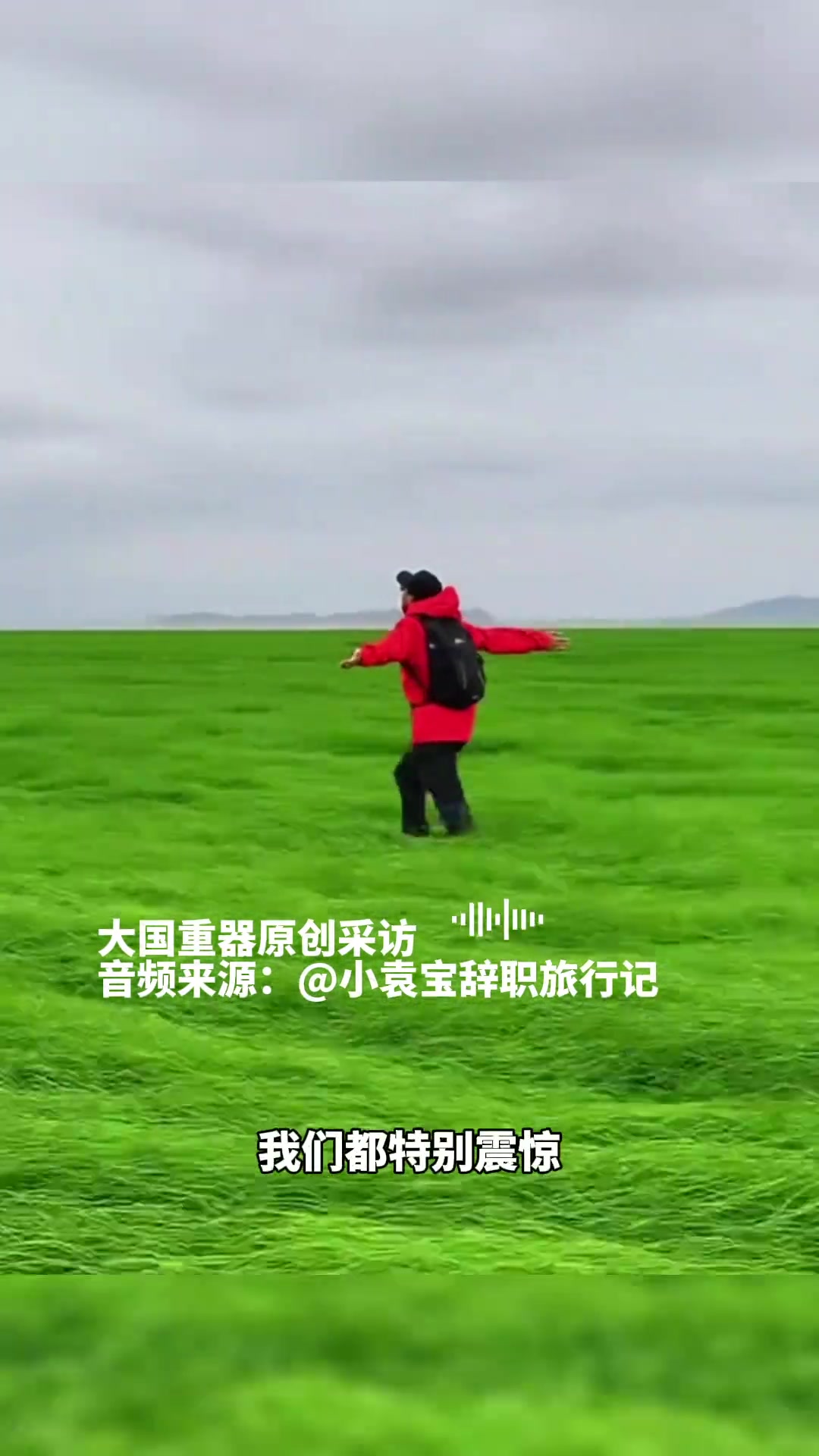 江西居然有“海”！一望无际的草海如同宫崎骏的漫画世界！