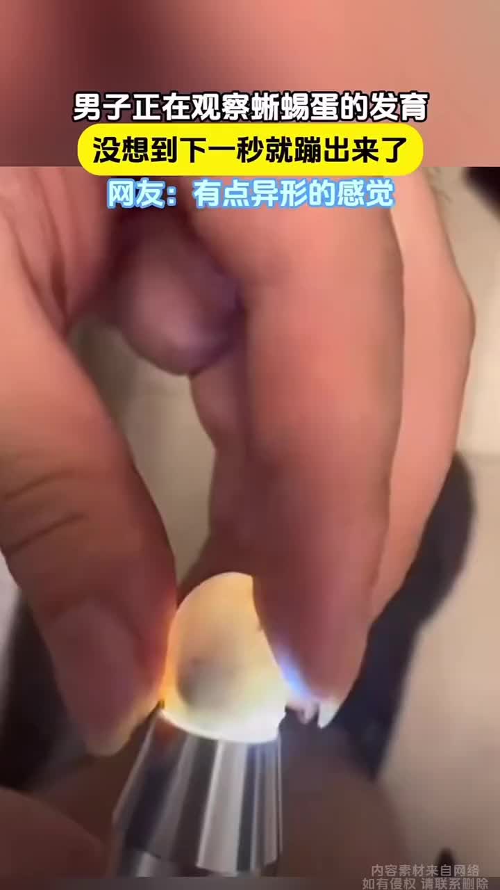 男子正在观察蜥蜴蛋，下一秒就蹦出来