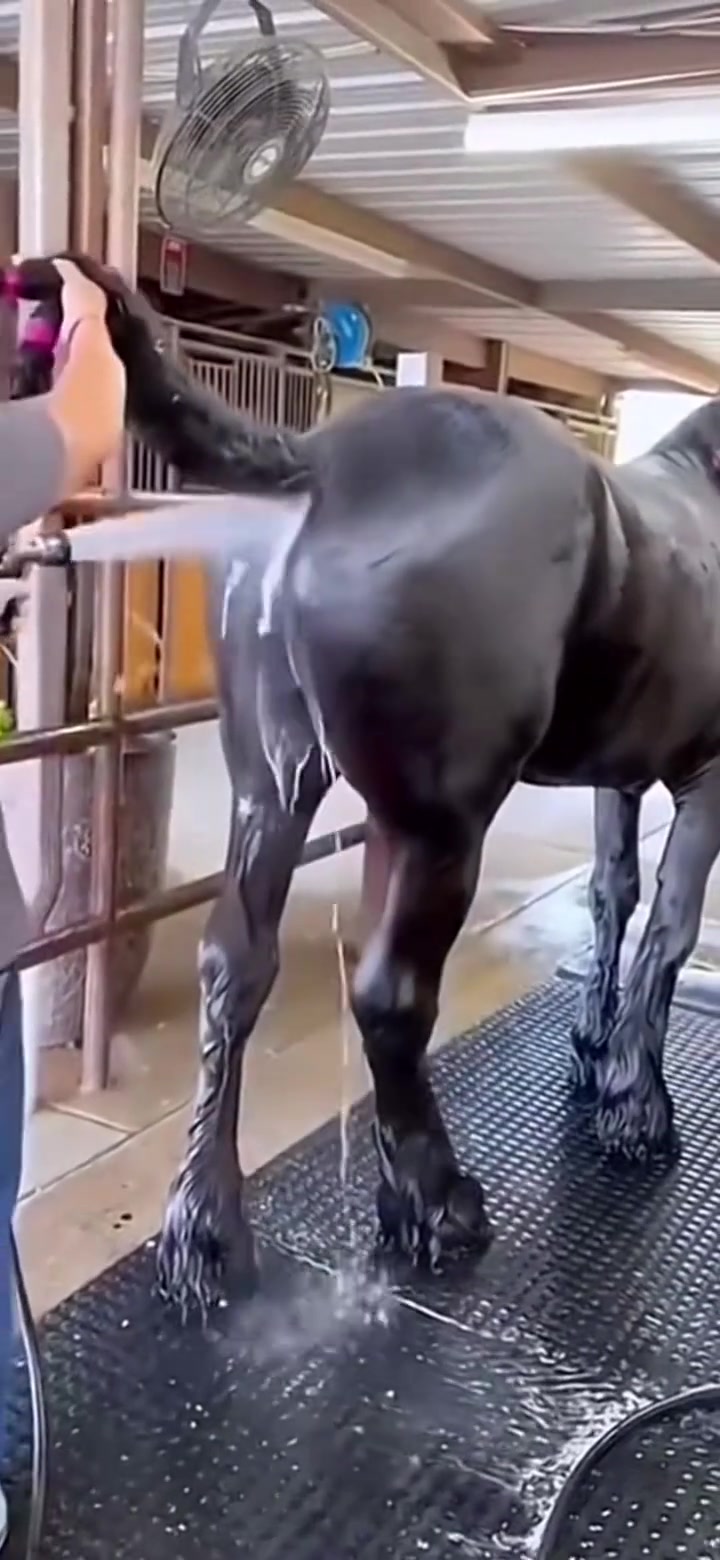 给马洗PP蛮特别的体验