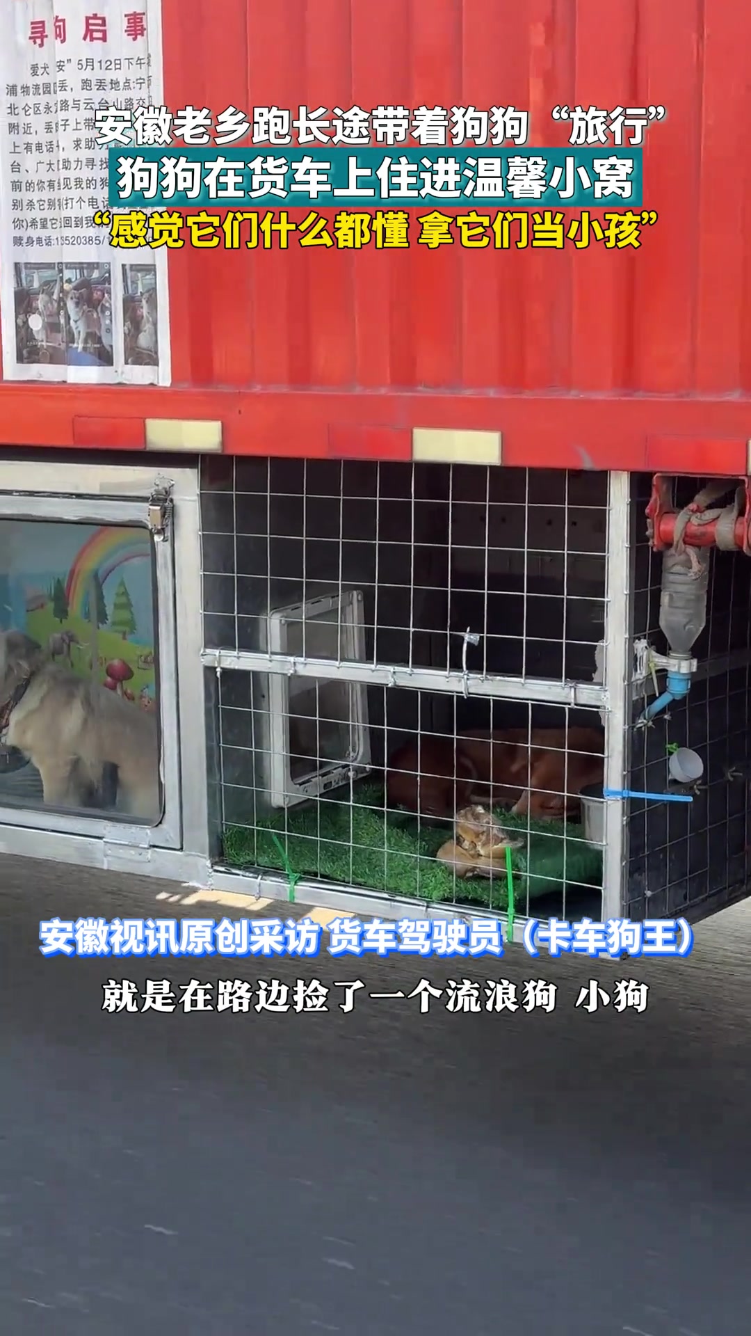 跑长途带着流浪狗“旅行”，狗狗在货车上住进温馨小窝