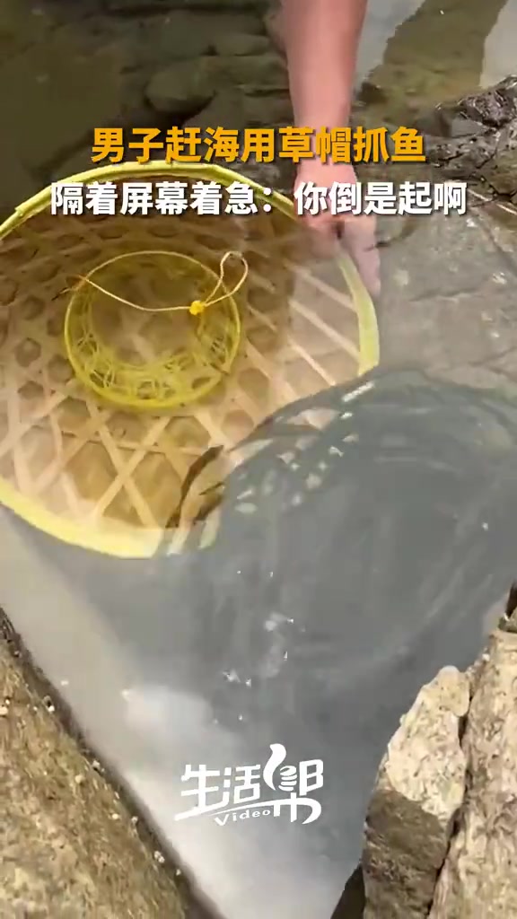 男子赶海用草帽抓鱼，隔着屏幕都替他着急：你倒是起啊！！！！！