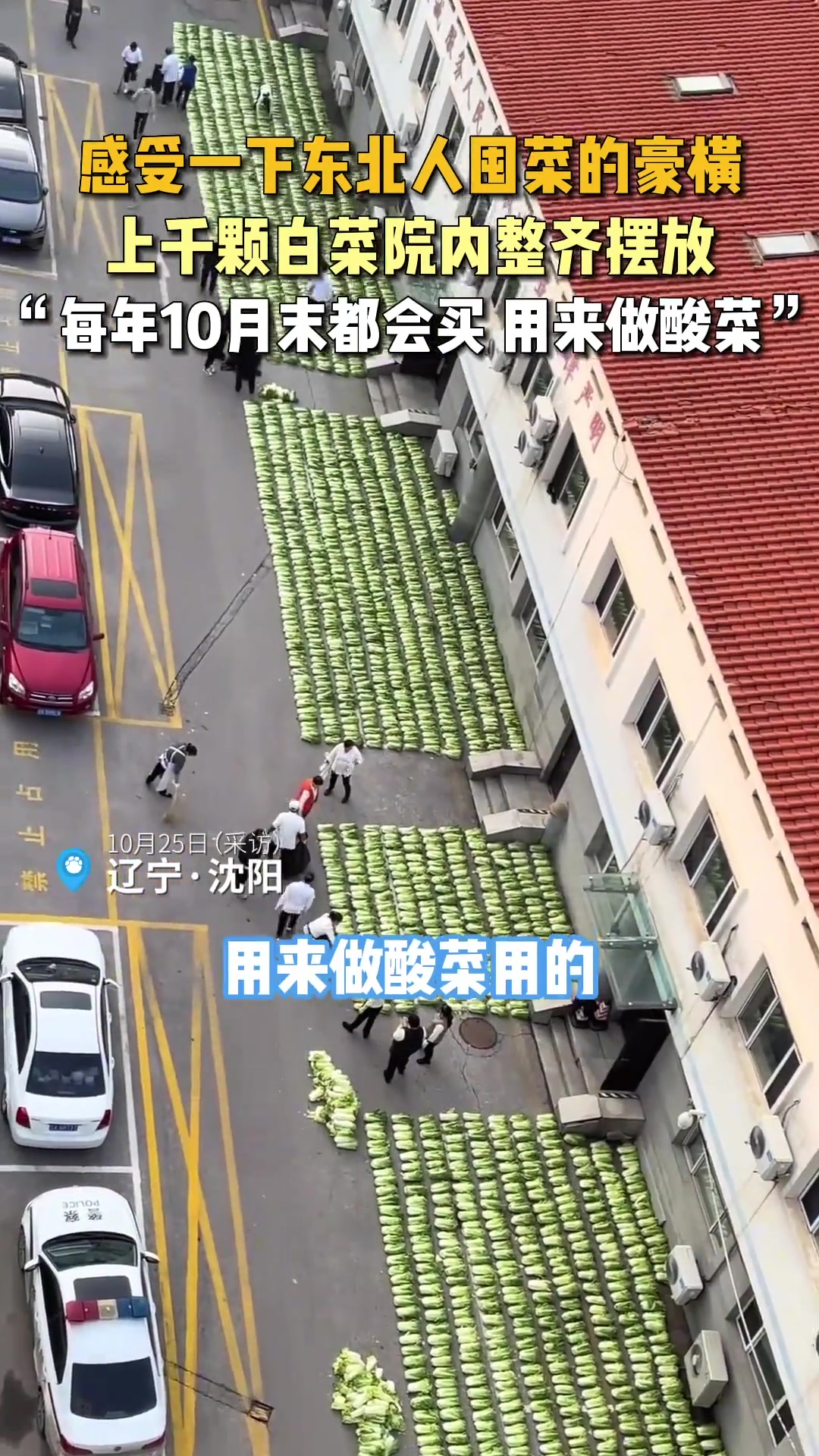 感受一下东北人囤菜的豪横！