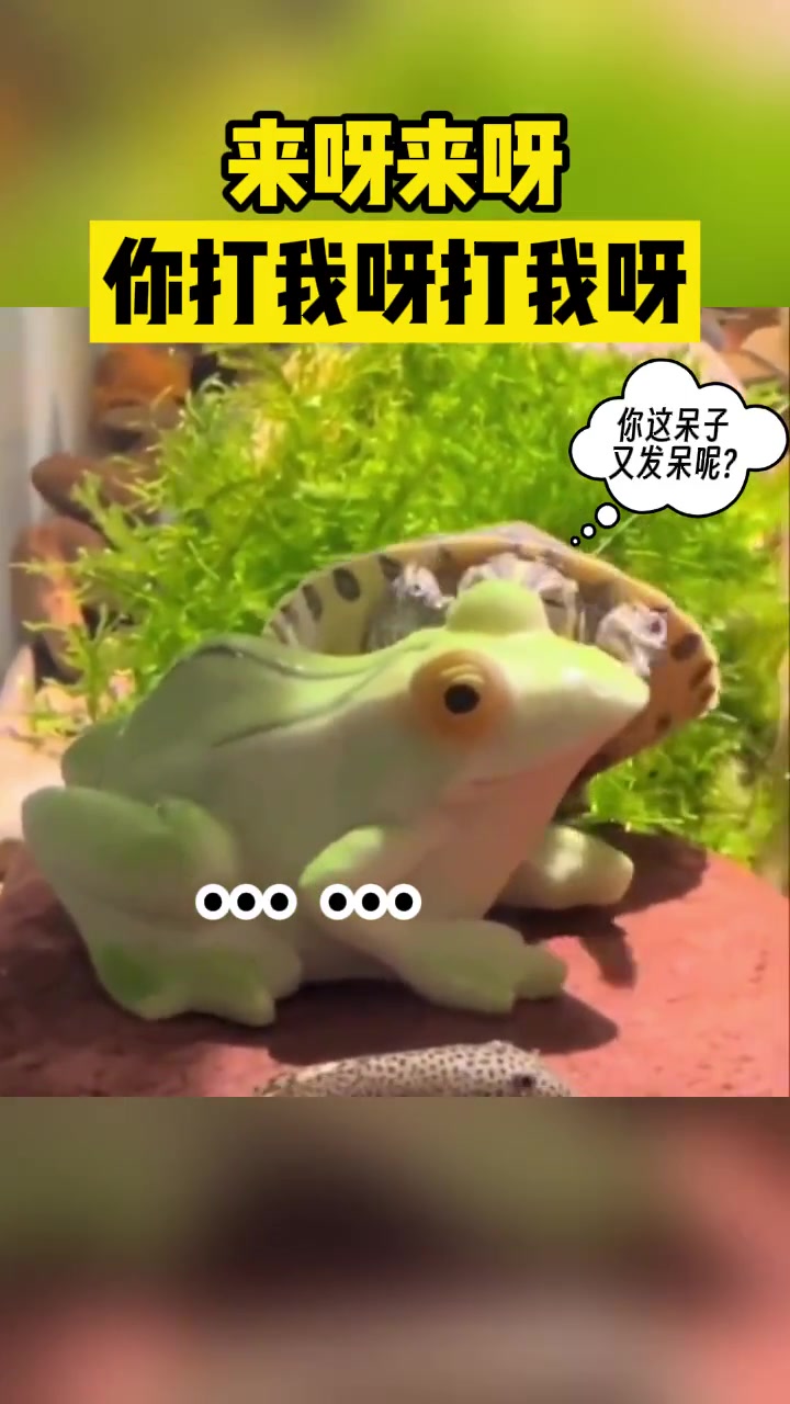 来呀来呀有本事你打我啊！