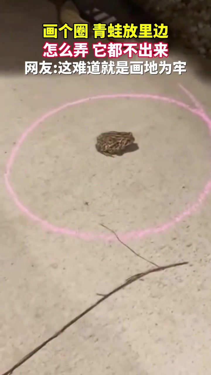 这难道就是画地为牢
